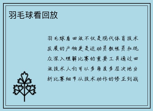 羽毛球看回放